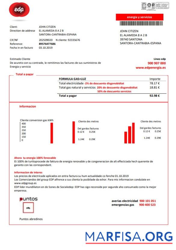 Blank Spain EDP Energia utility bill template in Word and PDF format